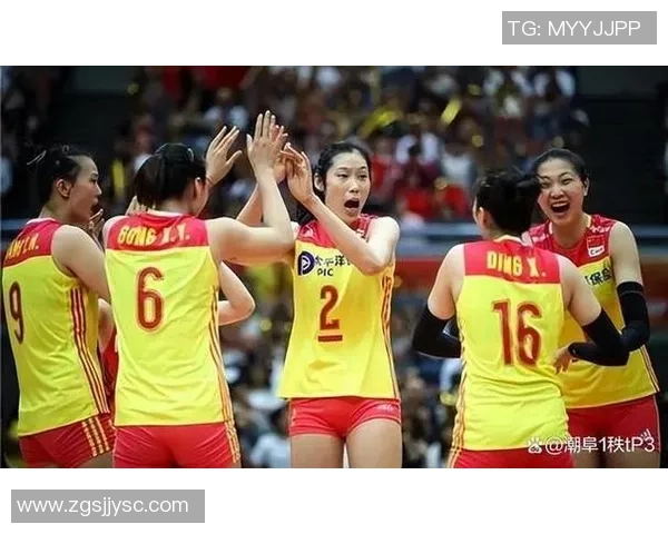 上海排球队的团队协作与战术配合深度分析与探讨